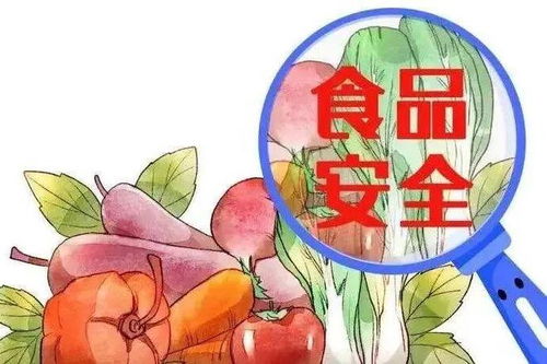 寒假安全系列指南來(lái)了⑥ 食品安全篇 筑牢“舌尖上”的健康防線(xiàn)